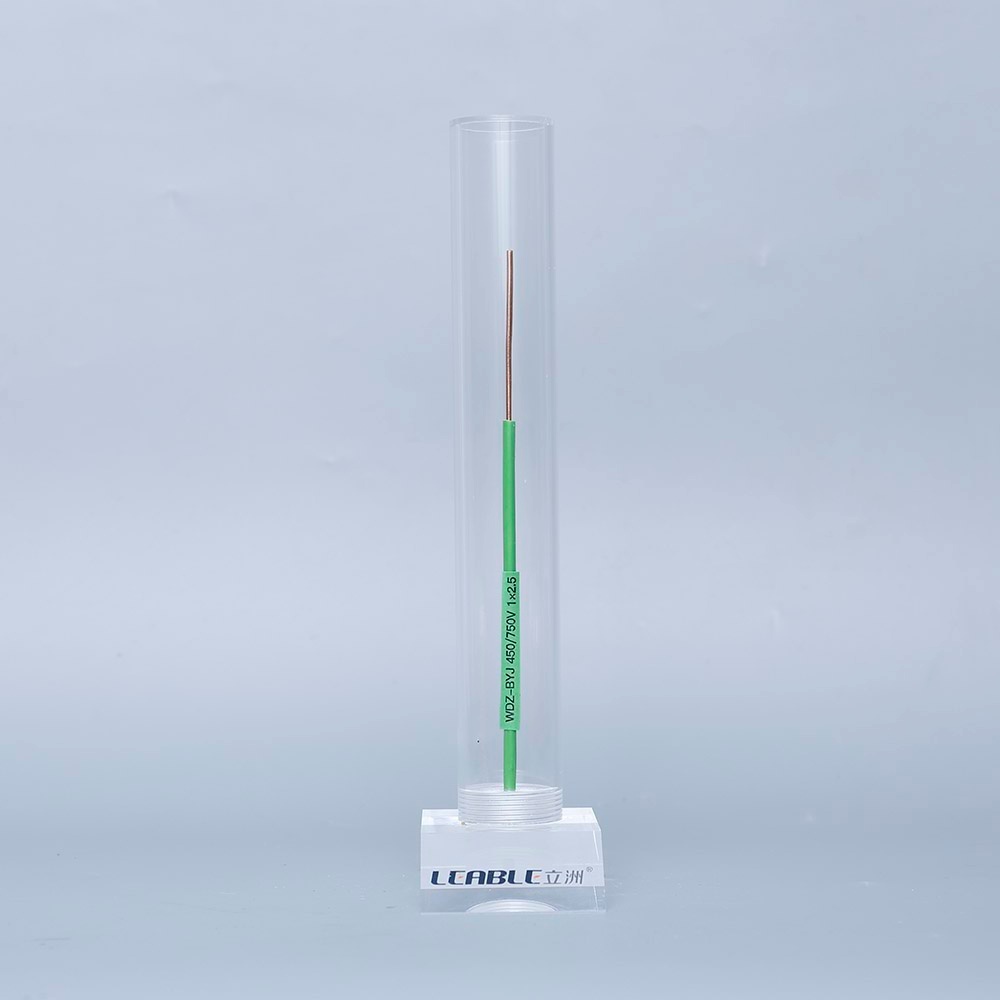 WDZ-BYJ 450/750V 1X2.5